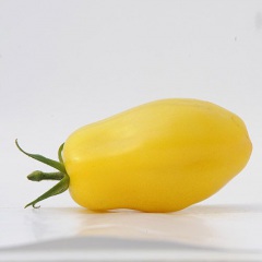 YELLOW-BELL